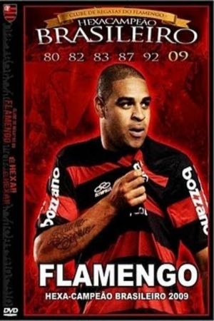 Flamengo: Hexa-Campeão Brasileiro 2009's poster