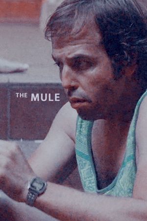 The Mule's poster