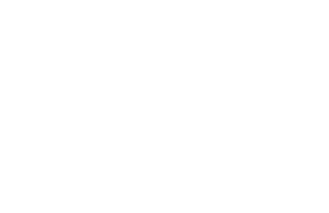Anni Manchi Sakunamule's poster