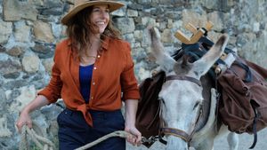 My Donkey, My Lover & I's poster