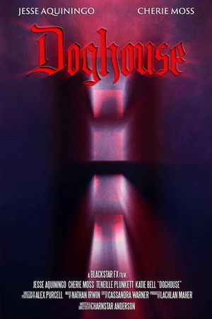 Doghouse's poster