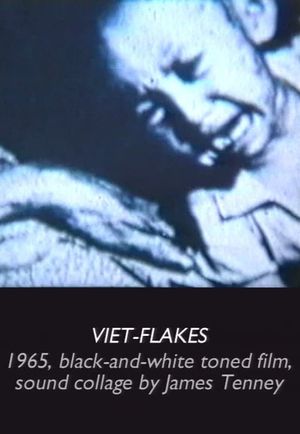 Viet Flakes's poster