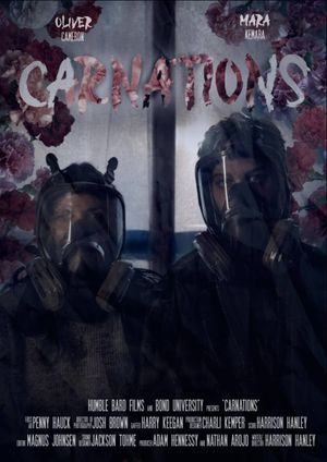 Carnations's poster