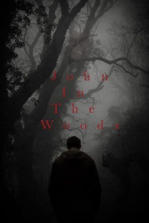 John in the Woods's poster