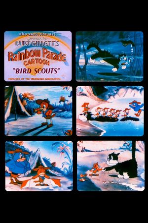 Bird Scouts's poster