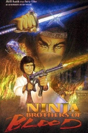 Ninja Knight Brothers of Blood's poster image