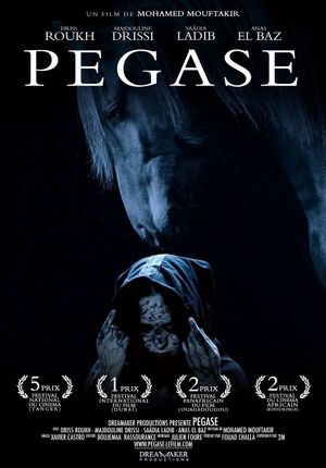Pegasus's poster