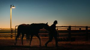 Lean on Pete's poster