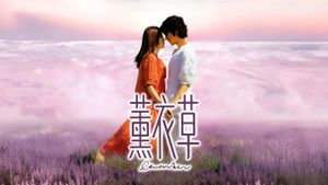 Lavender's poster
