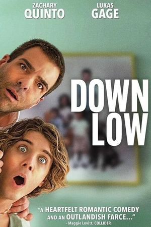 Down Low's poster