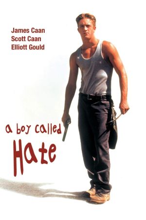 A Boy Called Hate's poster