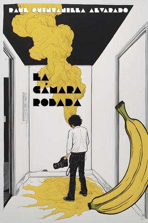 La Cámara Robada's poster