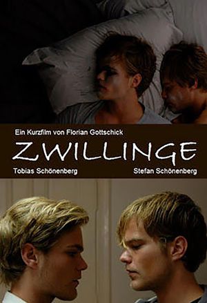 Twins's poster