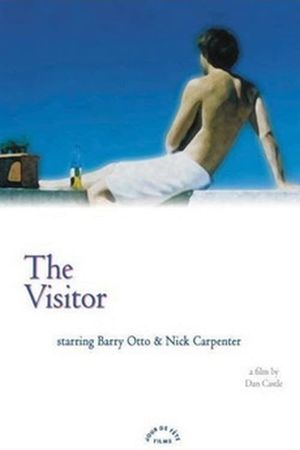 The Visitor's poster