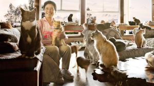 The Lady with 700 Cats's poster