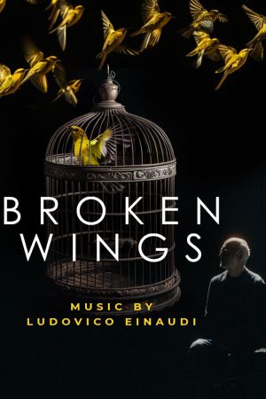 Broken Wings's poster
