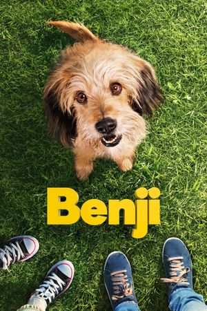 Benji's poster image