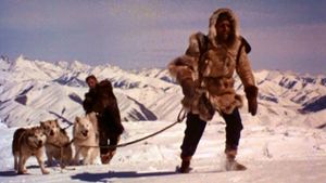 The Wild North's poster
