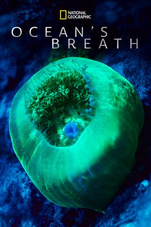 Ocean's Breath's poster