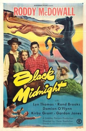 Black Midnight's poster