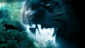 Night Creature's poster