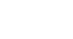 Saved from a Shark's poster
