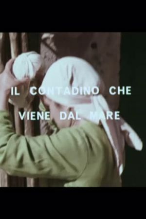 Il contadino che viene dal mare's poster image