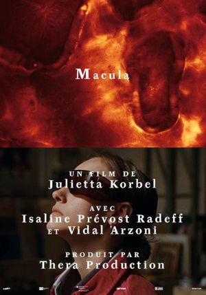 Macula's poster