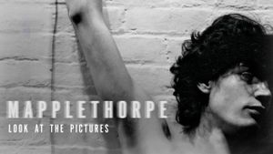 Mapplethorpe: Look at the Pictures's poster