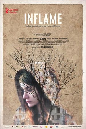 Inflame's poster