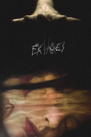 Echoes's poster