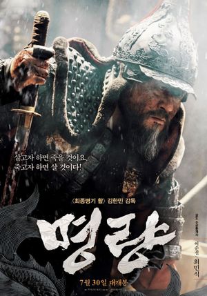 The Admiral: Roaring Currents's poster