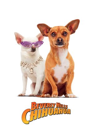 Beverly Hills Chihuahua's poster