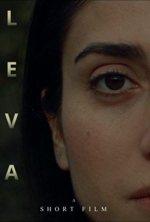 L E V A's poster