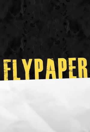 Flypaper's poster