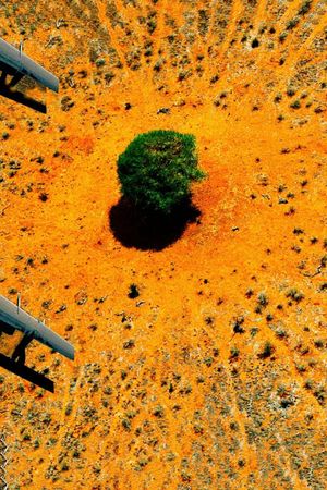 Nature : pour une réconciliation's poster