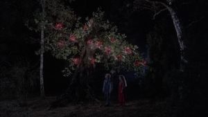 Bye bye chaperon rouge's poster