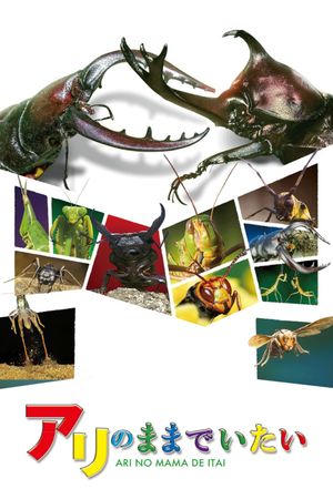 Ari no mama de itai's poster