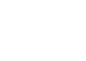 Born Racer's poster