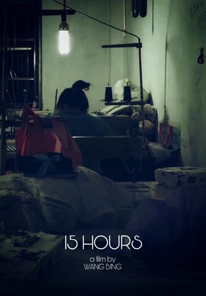 15 Hours's poster