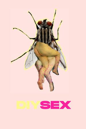 DIYSEX's poster