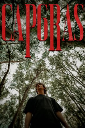Capgras's poster