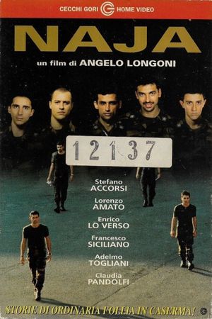 Naja's poster