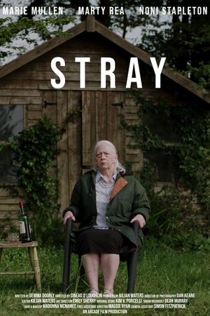 Stray's poster