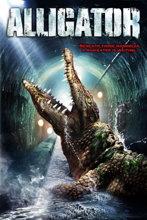 Alligator's poster