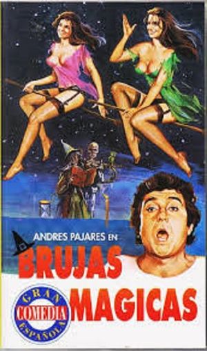 Brujas mágicas's poster