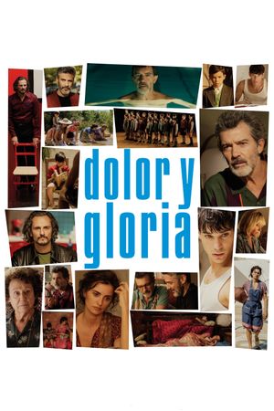 Pain and Glory's poster