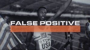 False Positive's poster