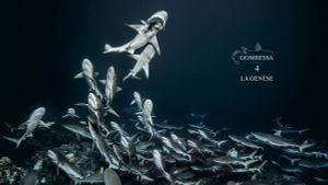 700 Sharks (Gombessa 4, Genesis)'s poster