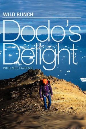 Dodo's Delight - The Adventures Of The Dodo's poster image